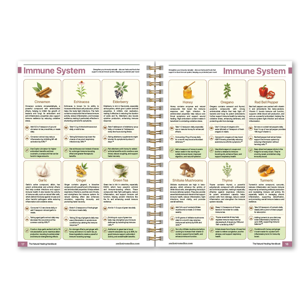 The Natural Healing Handbook - Spanish Version - Image 7