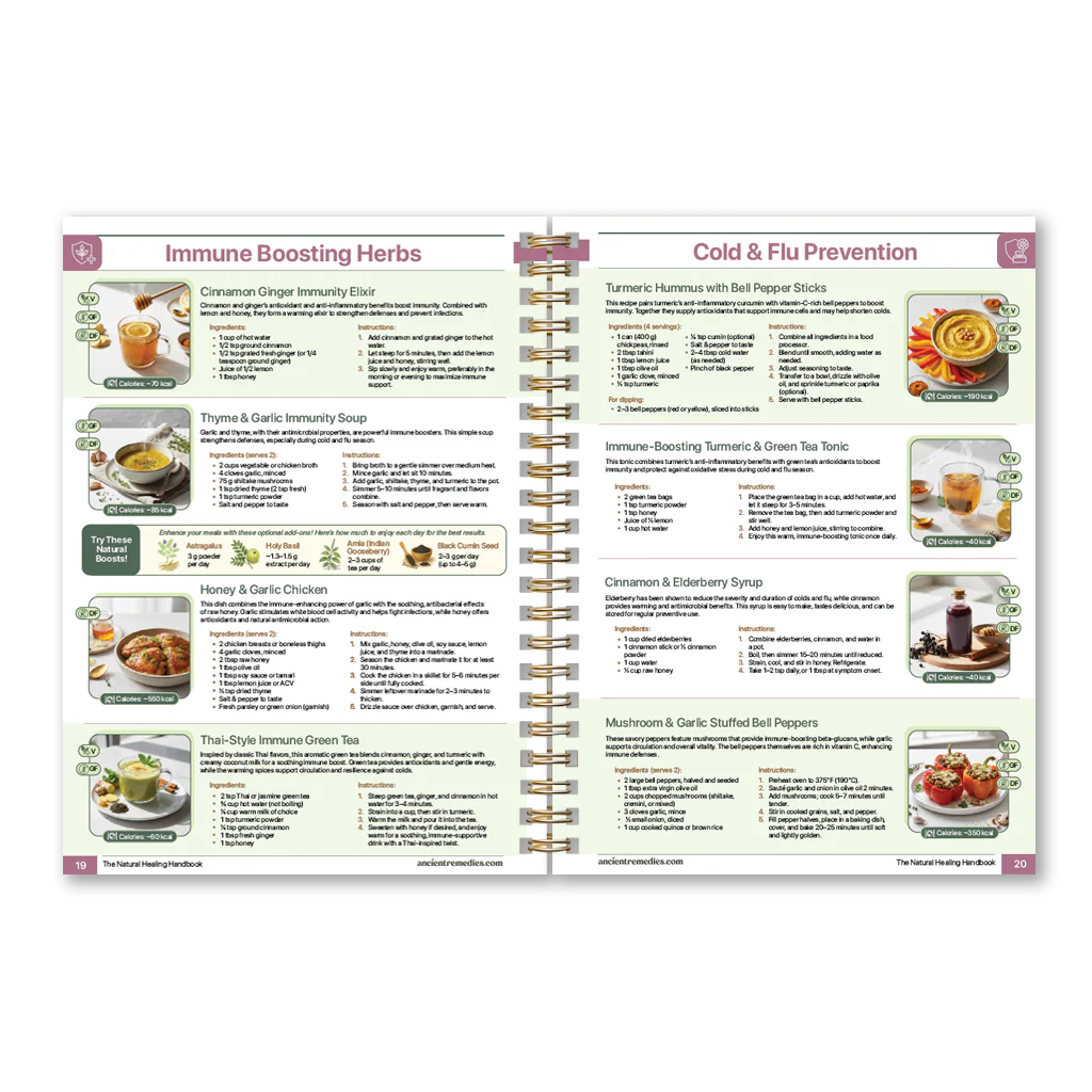 The Natural Healing Handbook - Spanish Version - Image 8